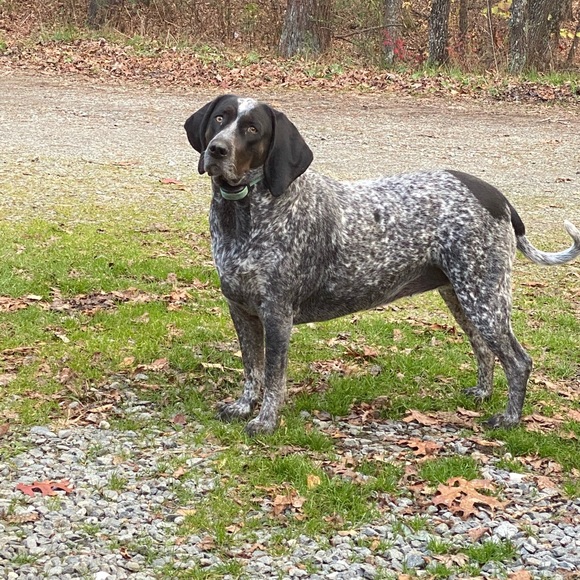 Meet your Posher, Shannon - Picture 8 of 15